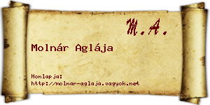 Molnár Aglája névjegykártya